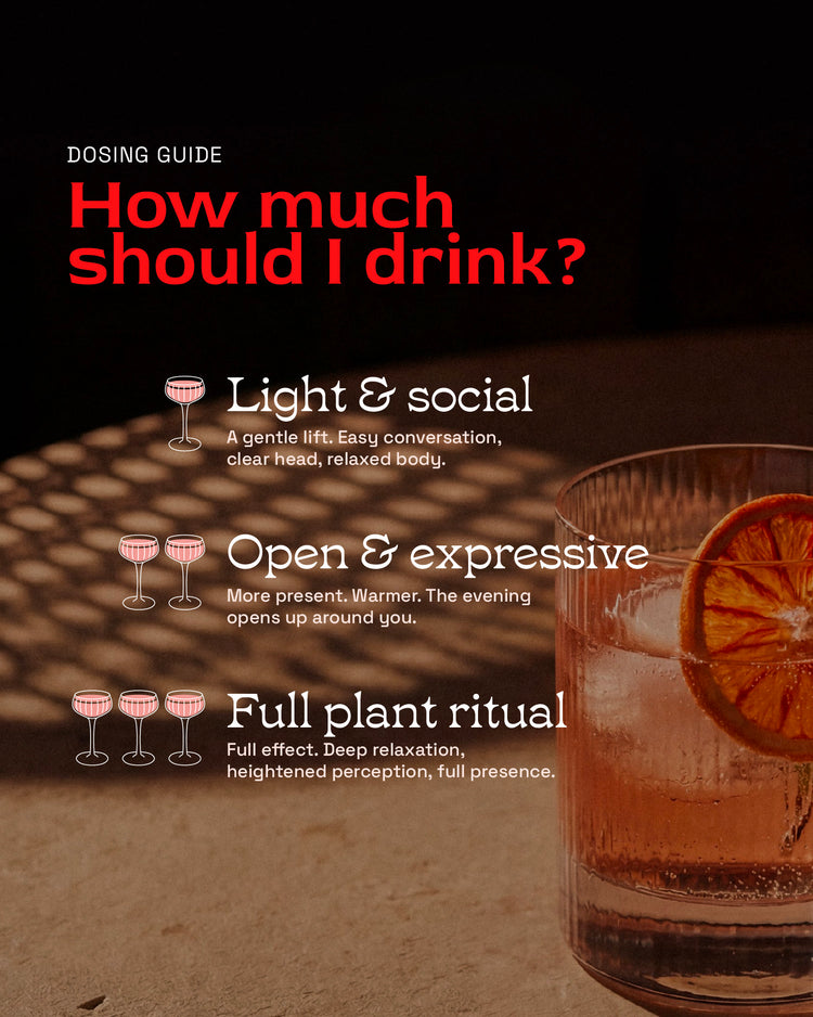 Kanna Ginger Spritz
