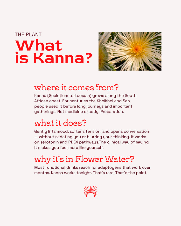 Kanna Ginger Spritz